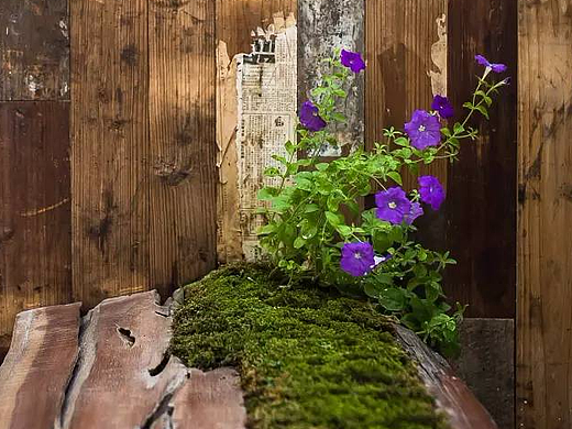 成都设计一个民宿要多少钱？成都民宿装修价格是多少