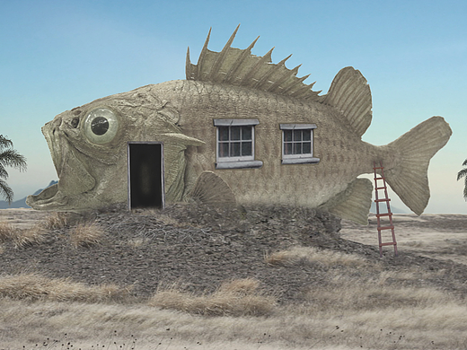 海报和成图 鱼 合成图