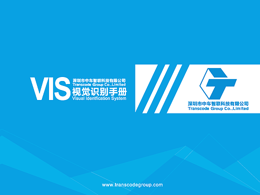 VIS