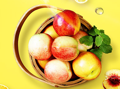 食品banner