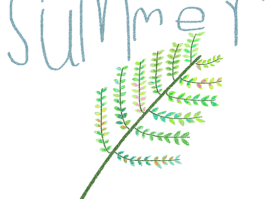 summer