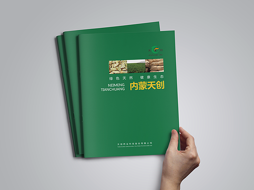 天创药业品牌手册