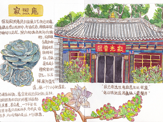 【旅行手绘】云南丽江大理八日游