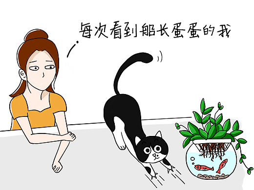 船长大人的蛋蛋