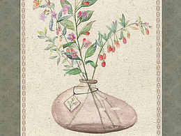 药物包装插画图案设计