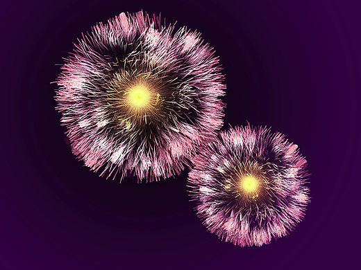 花火
