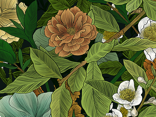 一款普洱茶饼包装插画