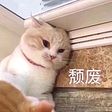 左左先生的头像