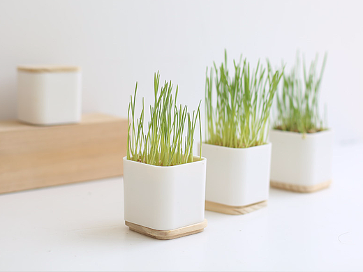 【植栽类】麦健康产品包装加木盖底托设计