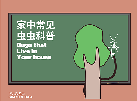 <家中常见虫虫科普>