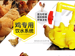 养殖