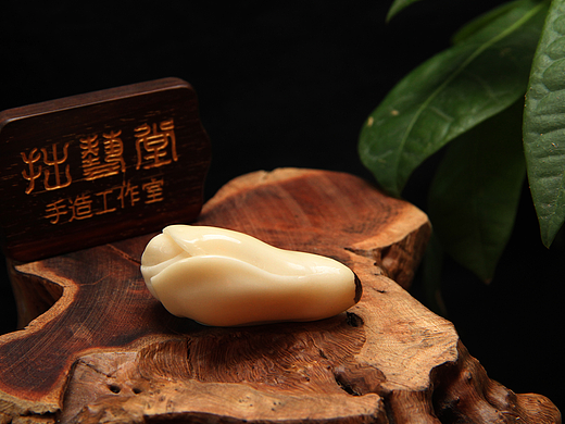 《玉兰》——象牙果