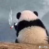 小生巨才的头像