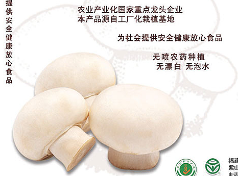 产品外包装设计