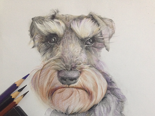 彩铅画（个人主页-ZMjE4NzE4NzI=） - 创作习作 - 站酷设计师Wutd原创素材 - 站酷ZCOOL