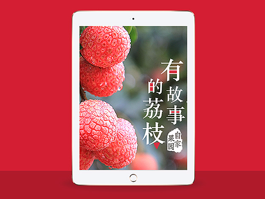 淘宝天猫京东详情页/水果/荔枝/宝贝描述/主图/banner