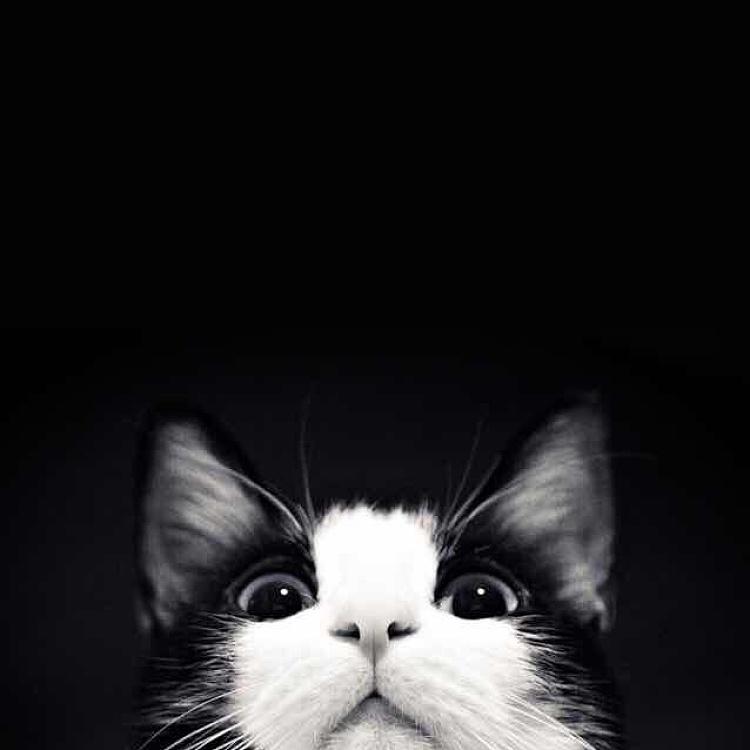 亚平宁半岛铁盒