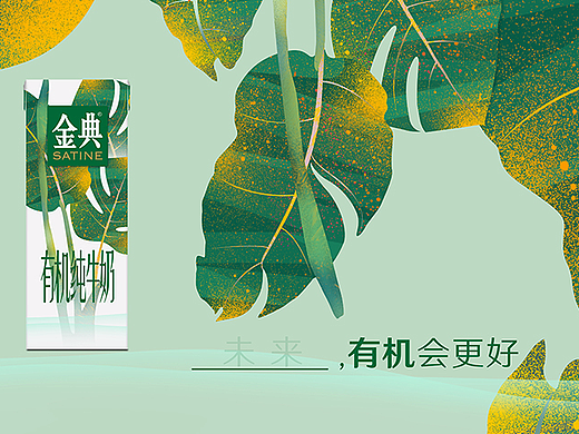 灿烂人生