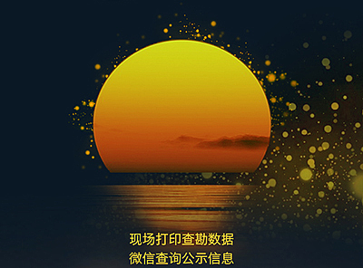 315运营设计