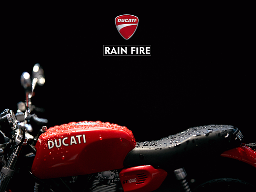 温柔猛兽杜卡迪