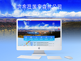网站