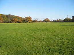 創(chuàng)意圖片