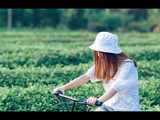和张张菇凉一起拍了一组简单的茶园