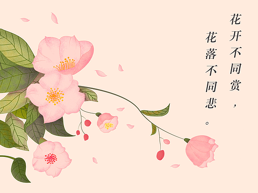 山茶花花