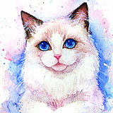 爱吃de猫的头像