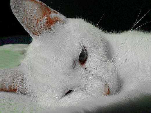 使用色相饱和度矫正偏色图像1