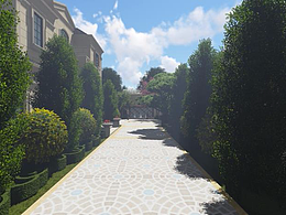 庭院景观（自制）