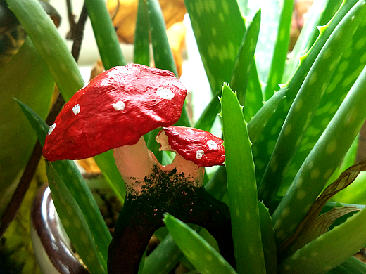 【纸塑】报纸的重生轮回（2）之蘑戒（个人主页-ZMjIzOTkwNjg=） - 其他手工艺 - 站酷设计师Cyp苹果原创素材 - 站酷ZCOOL