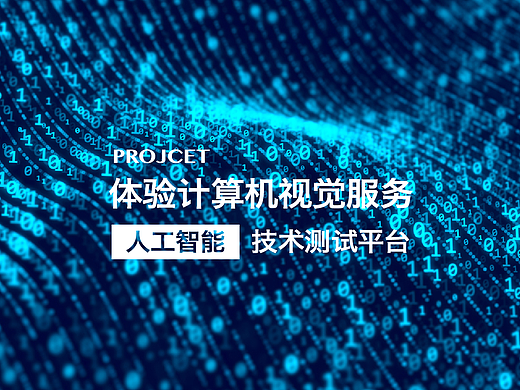 技术展示