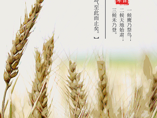 处暑