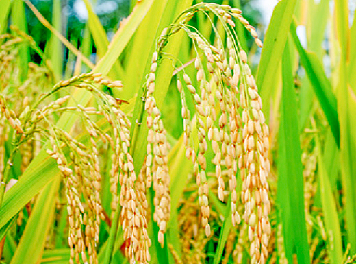 自然界的配色（個人主頁-ZMjMyMDA4ODA=） - 品牌 - 站酷設計師VFCOLOR原創(chuàng)素材 - 站酷ZCOOL