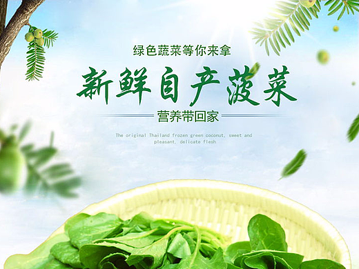蔬菜详情