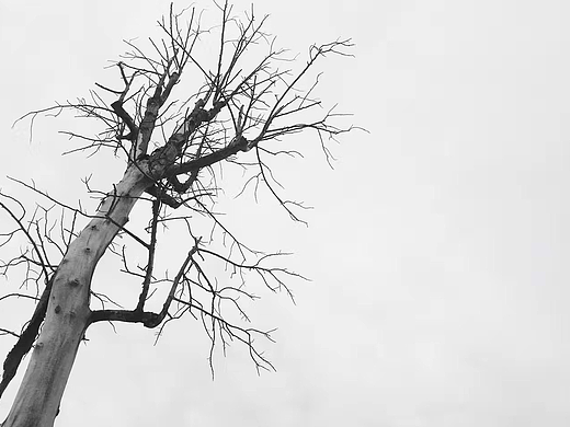 手机随拍_黑白影调（点线面）