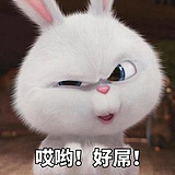 用戶頭像