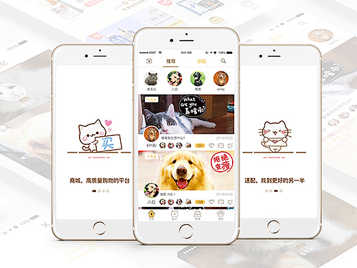 宠物APP