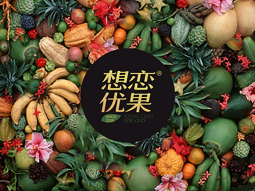 水果 品牌 设计  实体店 VI