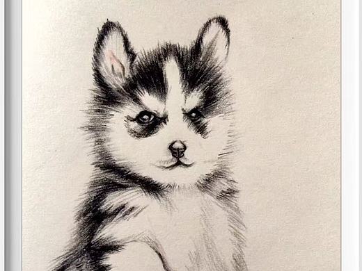 小哈（个人主页-ZMjMxNTYyNTI=） - 创作习作 - 站酷设计师only7086原创素材 - 站酷ZCOOL