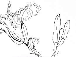 专业考察课（速写）