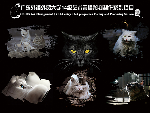 广外-《喵喵咪呀》公益活动海报制作