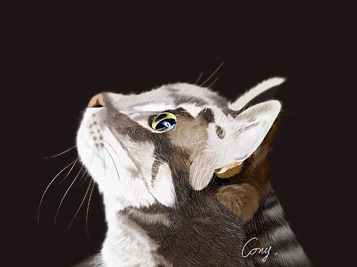 喵喵练习（个人主页-ZMjM1OTA5NjQ=） - 创作习作 - 站酷设计师Gail瓜玲原创素材 - 站酷ZCOOL