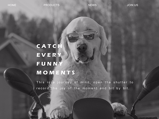 全屏式网站首屏