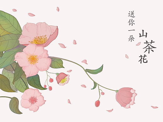 PS+AI教程！绘制一朵山茶花