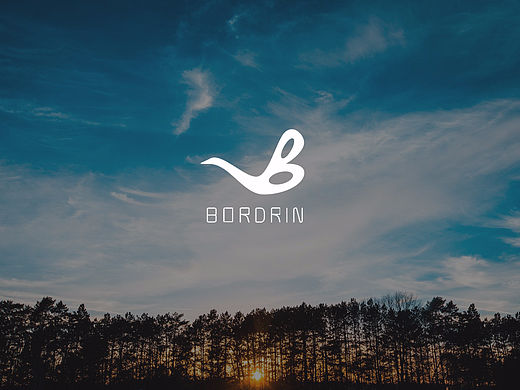 博郡汽车logo设计