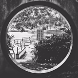 速写尘嚣的头像