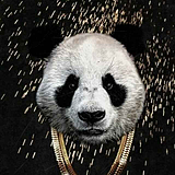 康博的头像