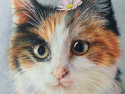 小花猫